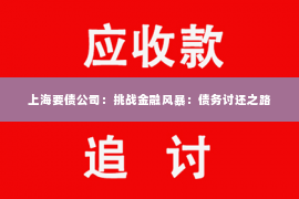 上海要债公司：挑战金融风暴：债务讨还之路