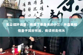 乳山捉奸调查：我成了单身夫的小三，并且我和他妻子同时怀胎，我该何去何从