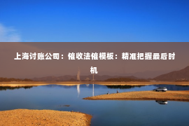 上海讨账公司：催收法催模板：精准把握最后时机