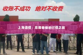 上海追债：总裁爸爸的讨债之旅