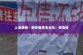 上海追债：债务催收法治化：新挑战