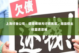上海讨账公司：德媒体曝光讨债黑幕，揭露债主权益遭忽视