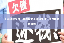 上海讨账公司：张嘉译女儿涉嫌欠债，遭讨债公司起诉