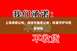 上海清债公司：律师与催收公司：权益守护与债务回收
