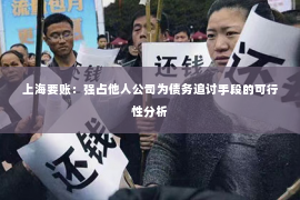 上海要账：强占他人公司为债务追讨手段的可行性分析