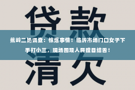 蕉岭二奶调查：惊爆事情！临沂市场门口女子下手打小三，现场围观人民瞠目结舌！