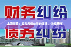 上海要债：应对欠债公司的方法，你知道吗？