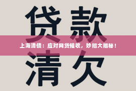 上海清债：应对网贷催收，妙招大揭秘！