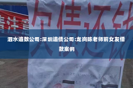泗水追数公司:深圳追债公司:龙岗陈老师前女友借款案例