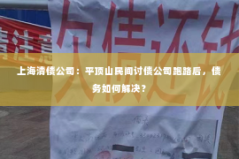 上海清债公司：平顶山民间讨债公司跑路后，债务如何解决？