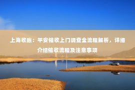 上海收账：平安催收上门调查全流程解析，详细介绍催收流程及注意事项