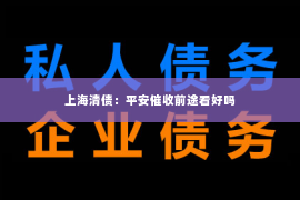 上海清债：平安催收前途看好吗