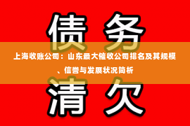 上海收账公司：山东最大催收公司排名及其规模、信誉与发展状况简析