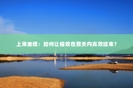 上海要债：如何让催收在数天内高效结束？