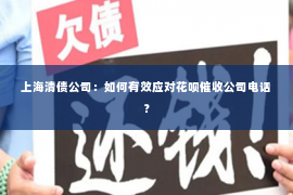 上海清债公司：如何有效应对花呗催收公司电话？