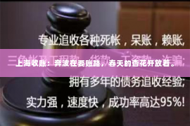 上海收账：奔波在要账路，春天的杏花开放着。