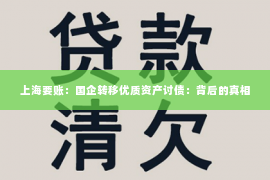上海要账：国企转移优质资产讨债：背后的真相