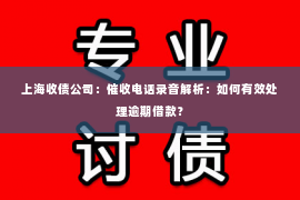 上海收债公司：催收电话录音解析：如何有效处理逾期借款？