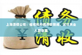 上海清债公司：催收机构因疫情倒闭，武汉失业人数急增