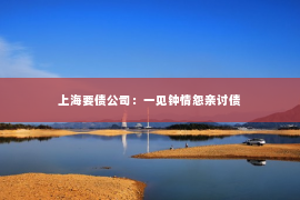 上海要债公司：一见钟情怨亲讨债