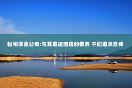 松桃清金公司:与其追逐酒店的债务 不如追求自我