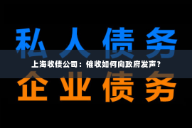 上海收债公司：催收如何向政府发声？