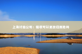 上海讨账公司：催收可以更改归属地吗