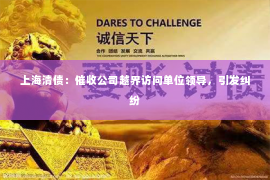 上海清债：催收公司越界访问单位领导，引发纠纷