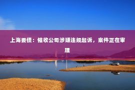 上海要债：催收公司涉嫌违规起诉，案件正在审理