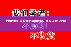 上海收债：催收专业话术教学，助你成为行业精英！