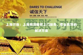上海讨账：上海网贷催收上门服务，专业高效的解决方案