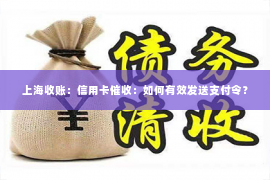 上海收账：信用卡催收：如何有效发送支付令？