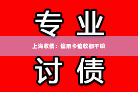 上海收债：信用卡催收都干嘛