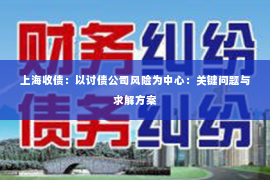 上海收债：以讨债公司风险为中心：关键问题与求解方案