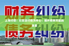上海讨债：以非法讨债为中心：揭开榆林刘磊的黑幕