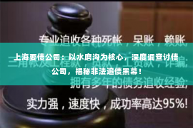 上海要债公司：以水磨沟为核心，深度调查讨债公司，揭秘非法追债黑幕！