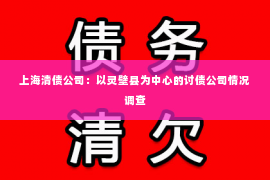 上海清债公司：以灵壁县为中心的讨债公司情况调查