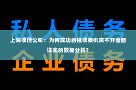 上海收债公司：为何成功的催收案例离不开全面详实的数据分析？