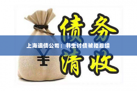 上海追债公司：书生讨债被拒后续