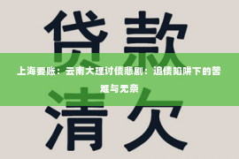 上海要账：云南大理讨债悲剧：追债陷阱下的苦难与无奈