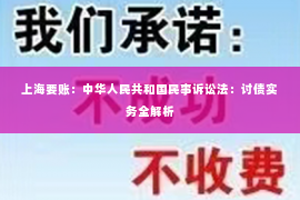 上海要账：中华人民共和国民事诉讼法：讨债实务全解析