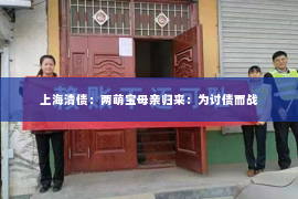 上海清债：两萌宝母亲归来：为讨债而战