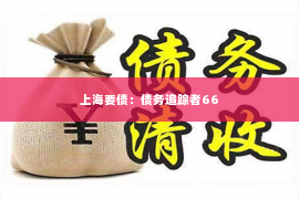 上海要债：债务追踪者66