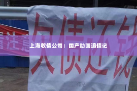 上海收债公司：国产动画追债记