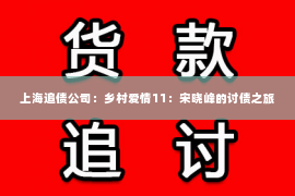 上海追债公司：乡村爱情11：宋晓峰的讨债之旅