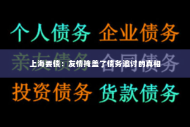 上海要债：友情掩盖了债务追讨的真相