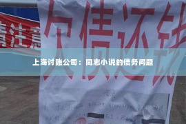 上海讨账公司：同志小说的债务问题