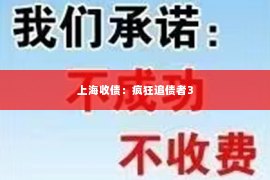 上海收债：疯狂追债者3