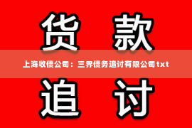 上海收债公司：三界债务追讨有限公司txt