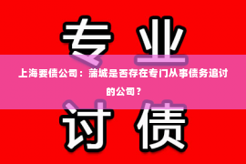 上海要债公司：蒲城是否存在专门从事债务追讨的公司？